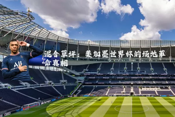 混合草坪:美加墨世界杯的场地革命真相